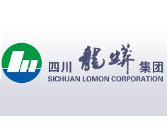 四川龍蟒礦冶有限責(zé)任公司