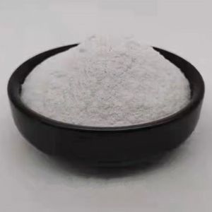 總氮去除劑